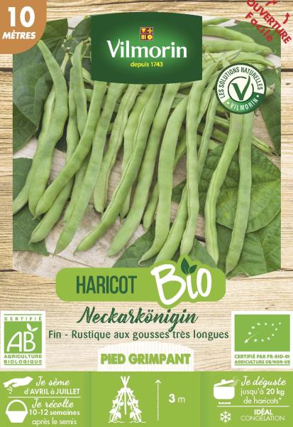 Légumes Secs - Haricot Grimpant Vert Neckarkönigin - 10 m - BIO - PACKAGING_RECTO